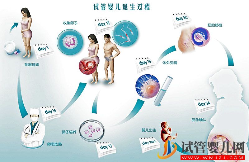 試管嬰兒流程 第一次做試管嬰兒你需要了解這22個常見問題(圖1)