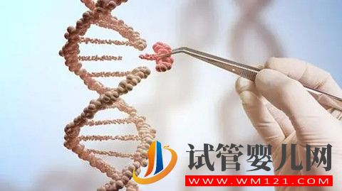 如何看待國(guó)內(nèi)很多人通過(guò)第三代試管嬰兒技術(shù)生兒子(圖2)