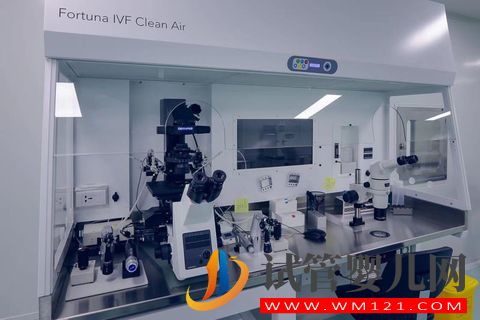 1644723181603802.jpg 害怕做試管嬰兒如何克服懼的心理(圖5)