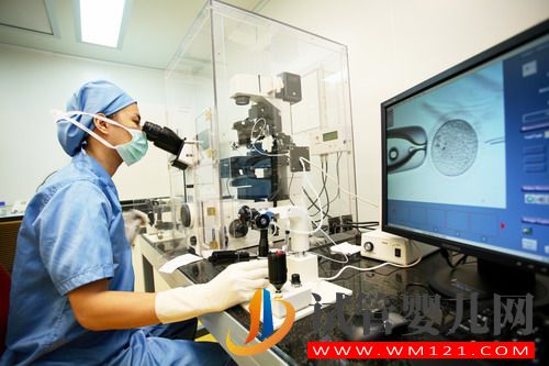 43歲做試管成功的幾率大嗎?因人而異(圖3)