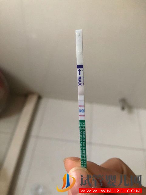 1638433472139291.jpg 雖然做試管嬰兒會(huì)痛還挺貴,但是還有這些優(yōu)點(diǎn)(圖1)