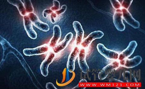 為什么父母染色體正常還會出現染色體異常的胚胎呢？(圖1)