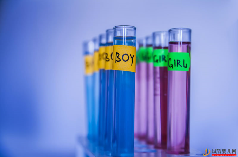 什么情況下非得做試管？具體步驟是什么？(圖1)