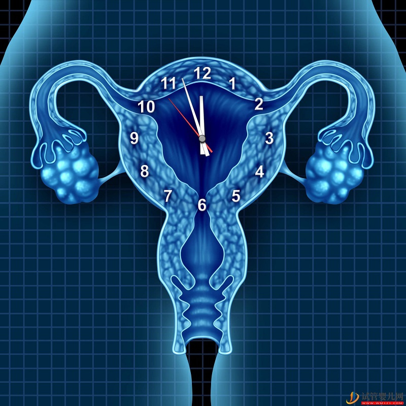 35歲做試管嬰兒成功率還高不高了?(圖1) 35歲做試管嬰兒成功率還高不高了?(圖1)