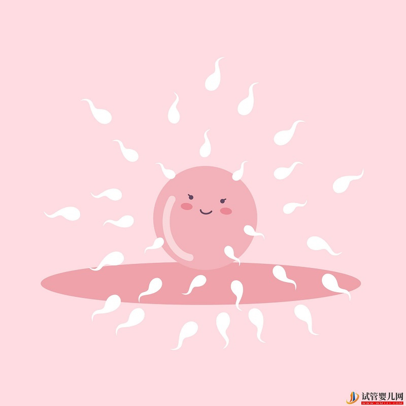 可排卵試紙白板 著床排卵試紙會白板嗎(圖1) 可排卵試紙白板 著床排卵試紙會白板嗎(圖1)