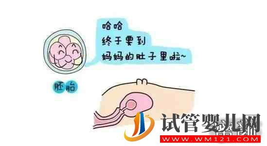 高齡女性排卵強陽后6小時內同房得一枚男寶的幾率大嗎？(圖1)