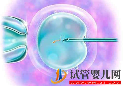 5個月的寶寶用y型奶嘴和圓奶嘴哪個喝奶快？(圖2)