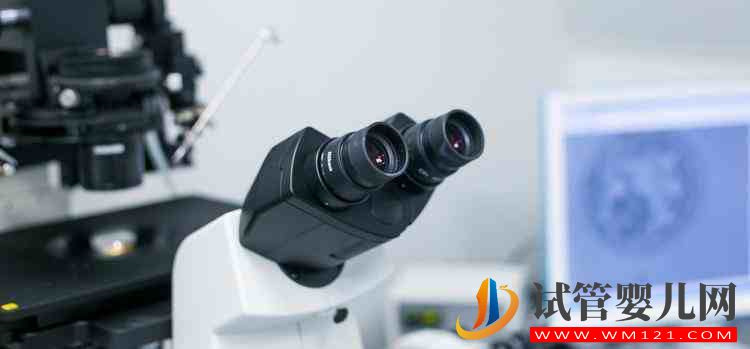 卵泡發(fā)育不良的危害_2 導(dǎo)致卵泡發(fā)育不良的3大原因,危害會(huì)致其不孕或死胎(圖2)