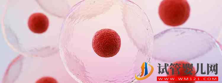 試管嬰兒取精一般要去幾次醫(yī)院？(圖2)