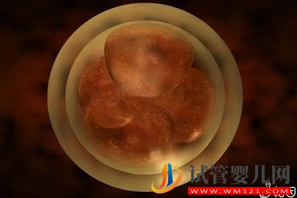 好的胚胎懷男孩子更多，驚呀！什么時候質量決定性別了(圖1)