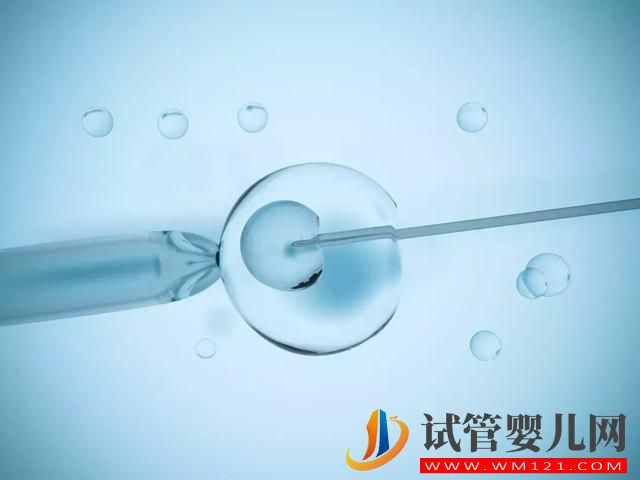 試管雙胎移植后的hcg值會(huì)比自然雙胎的高嗎？(圖2)