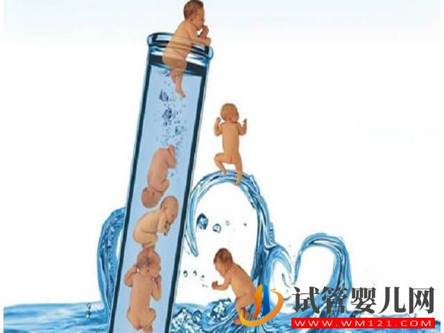 試管懷了雙胎，孕期第幾個月危險最大？(圖1)