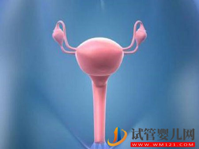 半邊子宮還可以懷孕生雙胞胎嗎？(圖1)