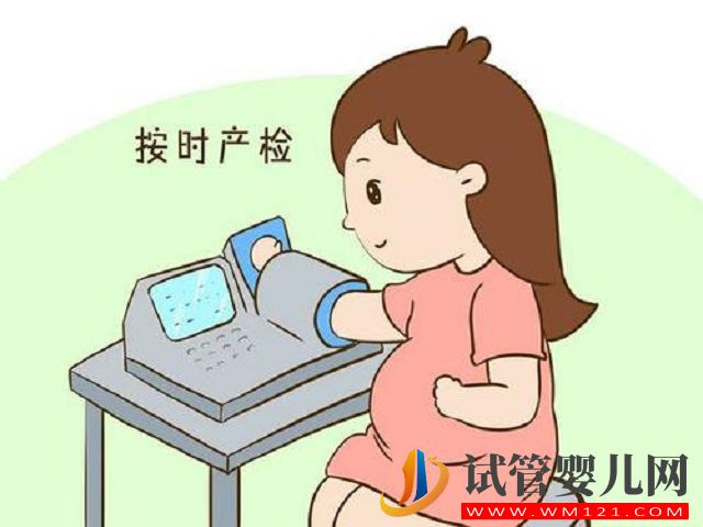 試管懷了雙胞胎，第幾個月才可以穩定下來？(圖2)