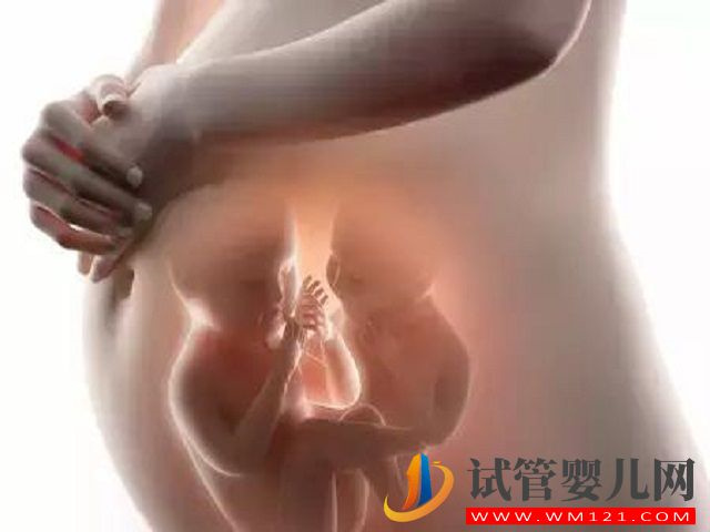 打促排卵針后可以提高懷雙胞胎的概率嗎?(圖1) 打促排卵針后可以提高懷雙胞胎的概率嗎?(圖1)