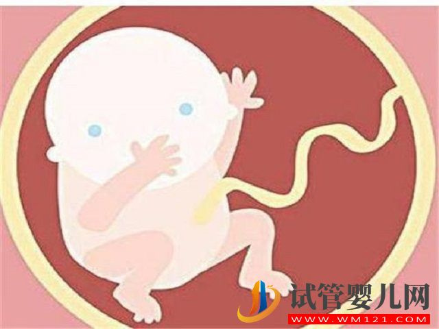 雙胎6個月時一胎停育，另一胎是安全的嗎？(圖2)