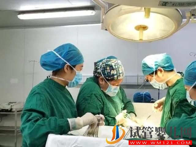 二胎試管雙胞胎要不要減胎？(圖1)