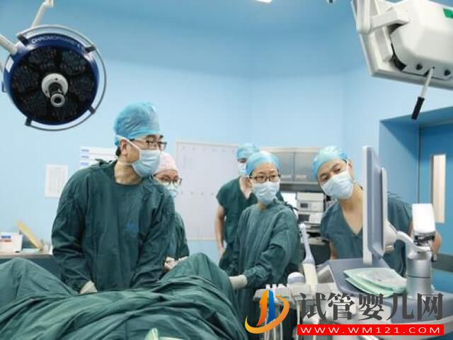 雙胎初期血hcg和孕酮不是很高怎么辦?(圖2) 雙胎初期血hcg和孕酮不是很高怎么辦?(圖2)