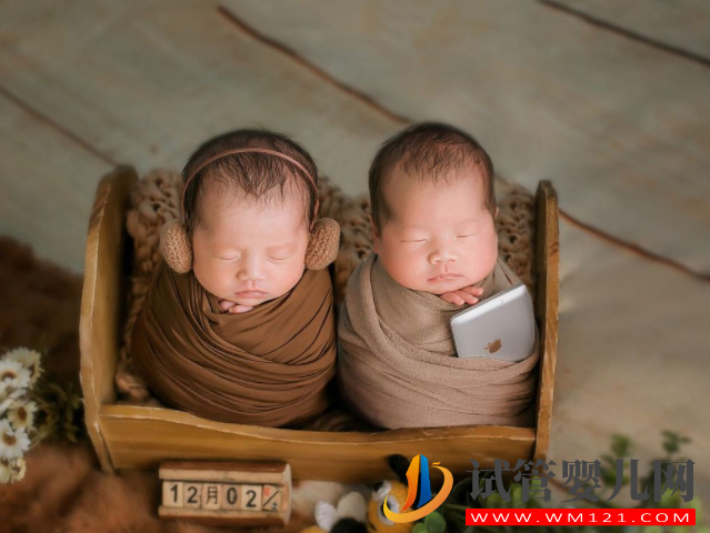 國內生龍鳳胎和雙胞胎哪個幾率大？(圖1)