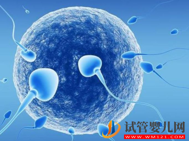 個子150，體重70斤的女性做試管適合雙胞胎嗎？(圖1)