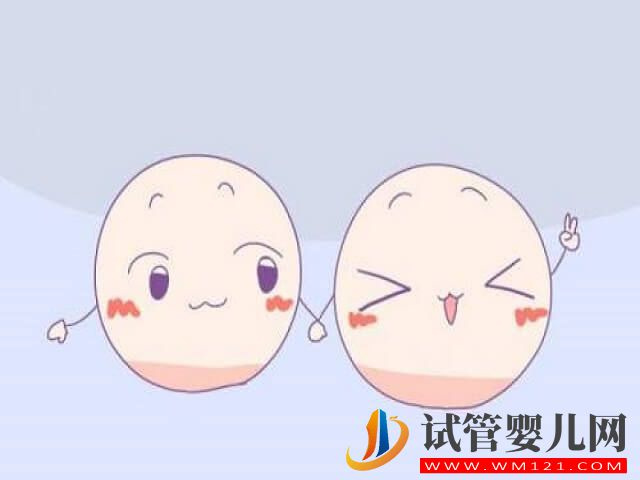 臨床上想生雙胞胎促排卵的方法有哪些?(圖1) 臨床上想生雙胞胎促排卵的方法有哪些?(圖1)