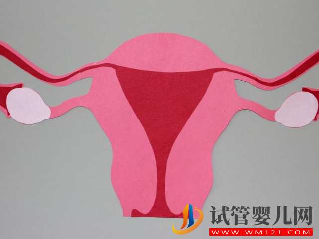 子宮要多大才可以在做試管的時(shí)候移植雙胎？(圖1)