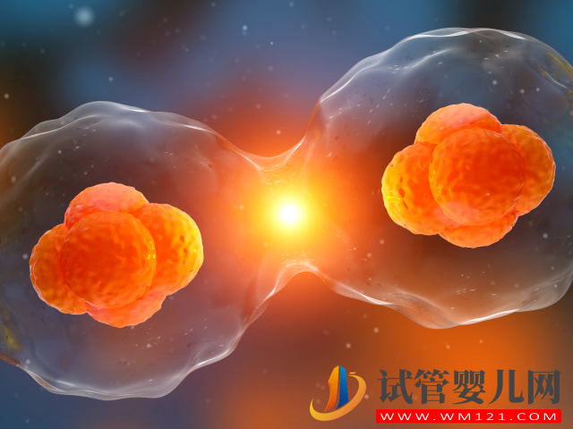 試管嬰兒中的“單卵雙胎”可不是好事,早產(chǎn)、畸形風(fēng)險(xiǎn)高(圖2) 試管嬰兒中的“單卵雙胎”可不是好事,早產(chǎn)、畸形風(fēng)險(xiǎn)高(圖2)