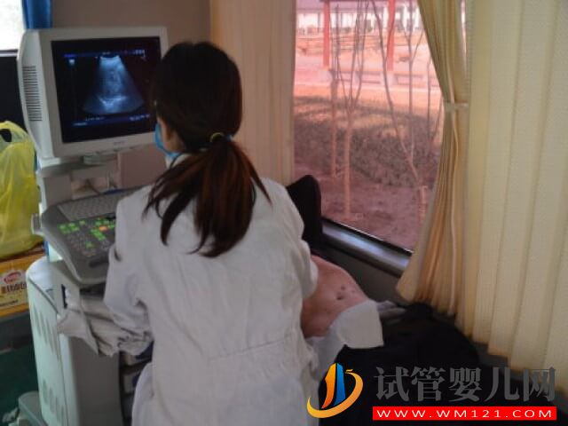 一個孕囊中有兩個卵黃囊出現(xiàn)雙胞胎概率高嗎？(圖1)