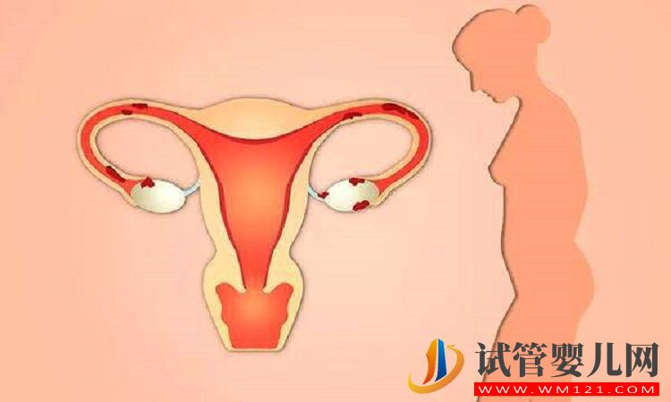 高齡女性如何延緩卵巢功能衰退，教你7個小妙招(圖1)