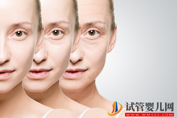 卵巢功能衰退的女性看過來，輔酶Q10或許可以改善(圖2)