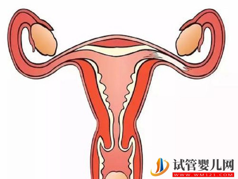 檢查雌二醇低的是不是卵巢早衰？(圖1)