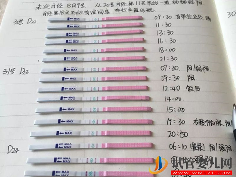 經驗分享：難孕，做試管胚胎等級一般但順利懷孕(圖2)