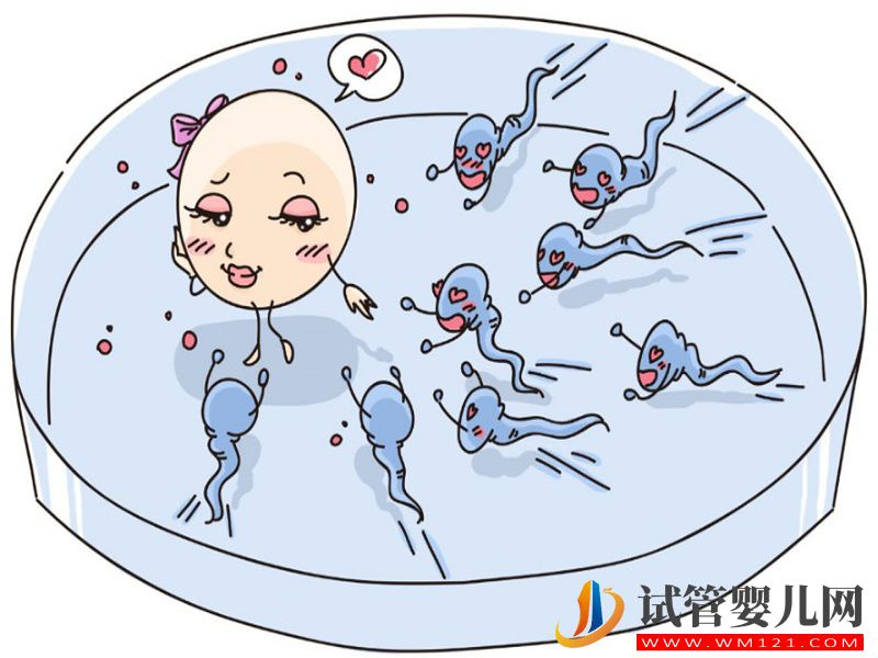 卵巢早衰助孕有方法，赴美IVF助你提高胚胎著床率(圖1)