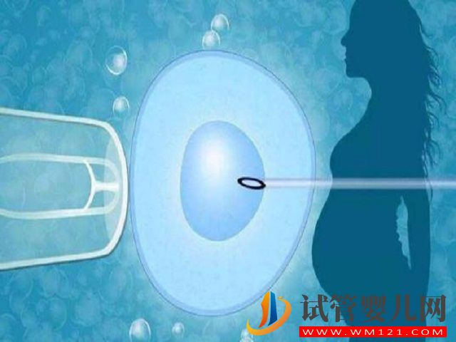 兩個(gè)女生怎么生出屬于自己的孩子?(圖2) 兩個(gè)女生怎么生出屬于自己的孩子?(圖2)