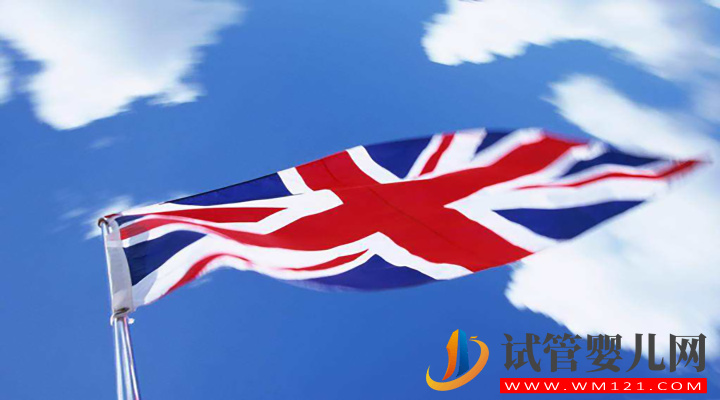 同性戀前往英國做試管嬰兒的攻略匯總(圖1)