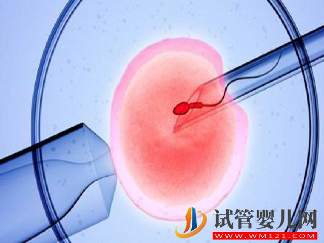 中國允許兩個同性生自己的孩子嗎？(圖2)