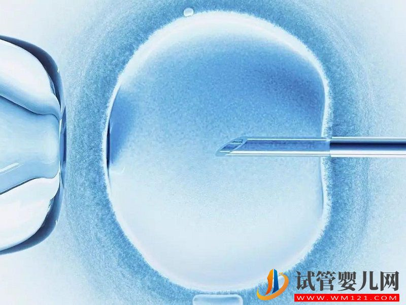 高齡女性做試管A卵B懷風險大不大？(圖1)