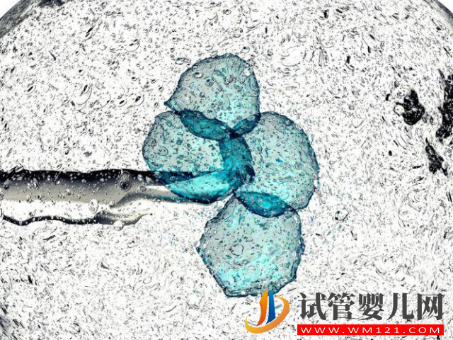 試管嬰兒胚胎移植共3種方案,但成功率、技術(shù)等都是不一樣(圖1) 試管嬰兒胚胎移植共3種方案,但成功率、技術(shù)等都是不一樣(圖1)