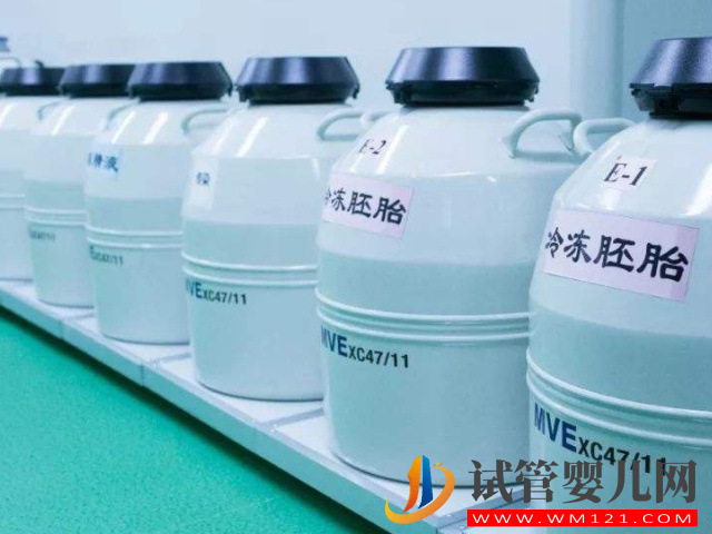 試管嬰兒胚胎移植共3種方案,但成功率、技術(shù)等都是不一樣(圖2) 試管嬰兒胚胎移植共3種方案,但成功率、技術(shù)等都是不一樣(圖2)