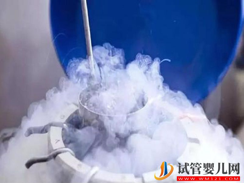 中國女性可以選擇自己去凍卵子嗎?(圖1) 中國女性可以選擇自己去凍卵子嗎?(圖1)