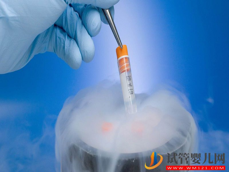 女性在國(guó)內(nèi)冷凍卵子需要多少錢(qián)?(圖1) 女性在國(guó)內(nèi)冷凍卵子需要多少錢(qián)?(圖1)