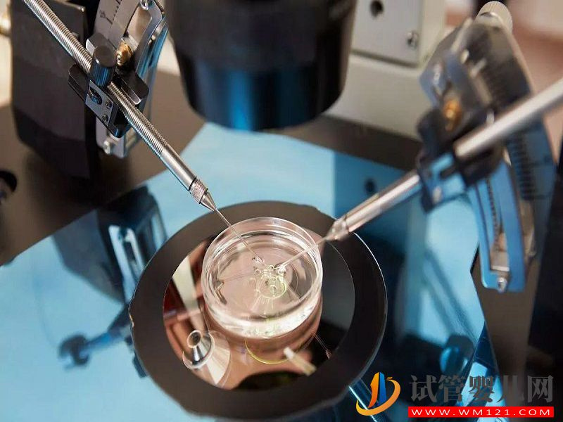 美國凍卵醫院費用要備足，提前了解三大流程更容易成功(圖1)