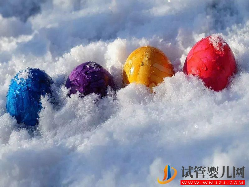 大齡冷凍卵子很有必要，39歲金卡戴珊靠此方成功生4胎(圖2)