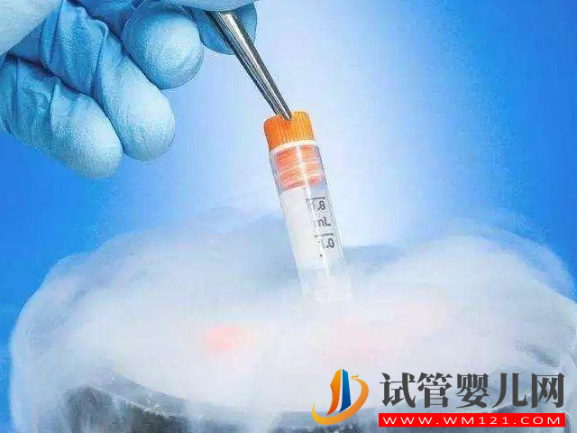 俄羅斯與日本凍卵分別需要多少錢？(圖1)