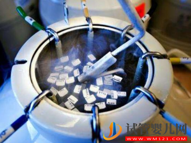 美國冷凍卵子一年需要多少錢(圖2)