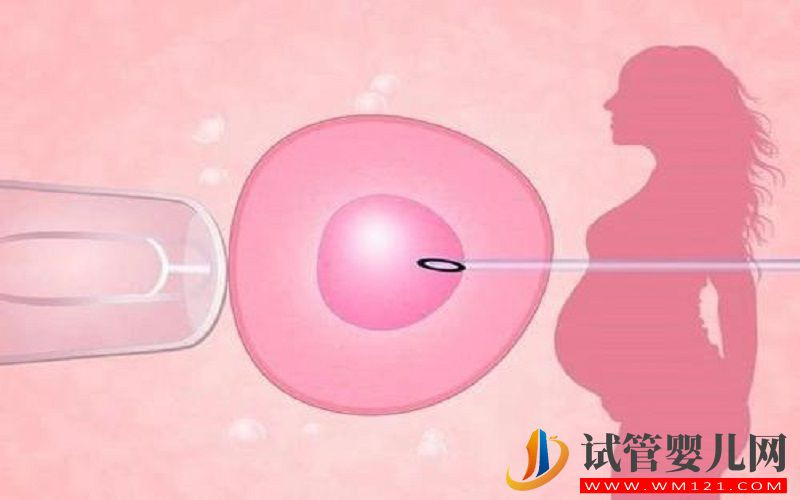 取卵次數越多對身體的傷害就越大嗎？(圖1)