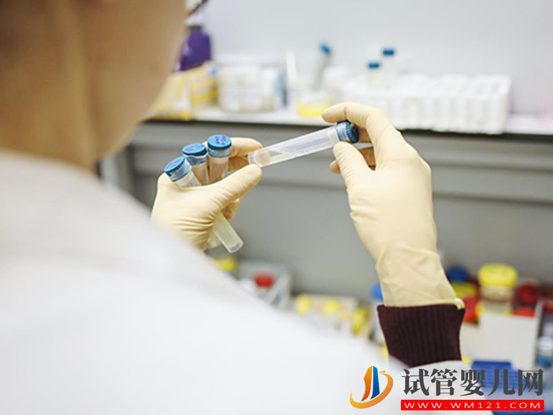 大揭秘！凍胚移植不同人群最佳時間也不一樣(圖2)