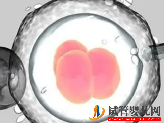 大齡單身女性在成都華西醫院進行凍卵要多少錢？(圖1)