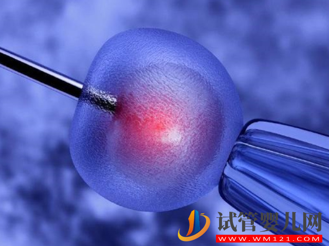 赴美國凍卵真明智，提前讓生育能力停留在年輕狀態(圖3)