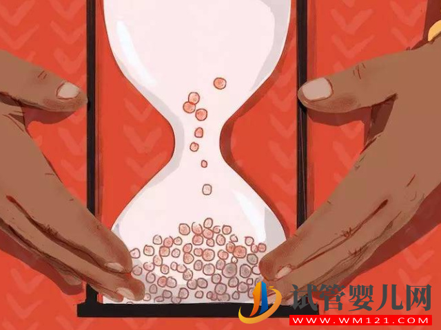 赴美國凍卵真明智，提前讓生育能力停留在年輕狀態(圖4)